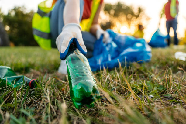 Best Yard Waste Removal  in Saugerties South, NY